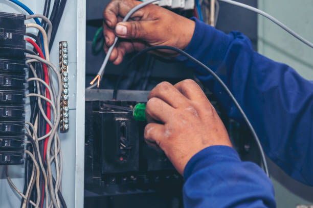 Best Electric Panel Repair  in Atkinson, IL